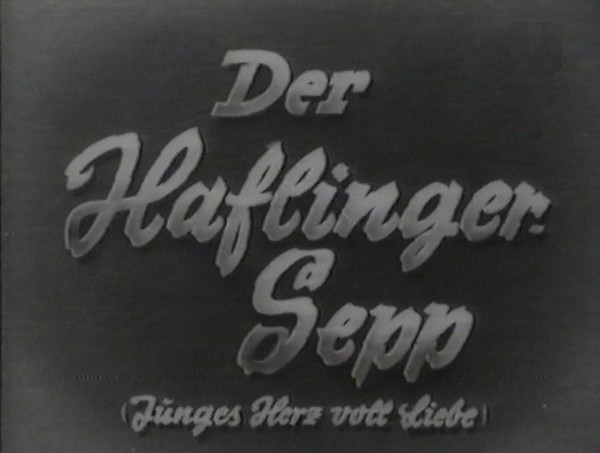 DER HAFLINGER SEPP 1953