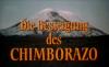 DIE BEGEISTERUNG DES CHIMBORAZO 1988
