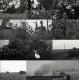 DW 553 09.04.41 - 14. PzD Abt. 60 in Russland 1941