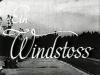 EIN WINDSTOSS 1942