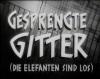 GESPRENGTE GITTER 1953
