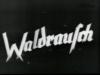 WALDRAUSCH 1939