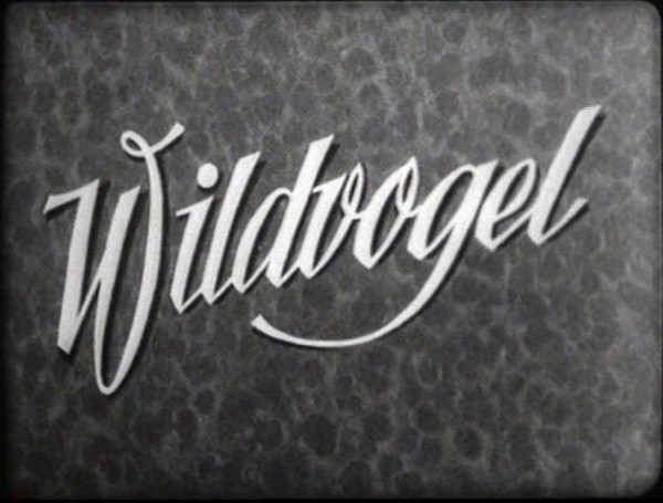 WILDVOGEL 1943